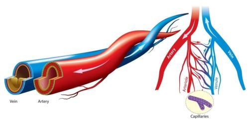 Др. Ахиллеас Турсидис